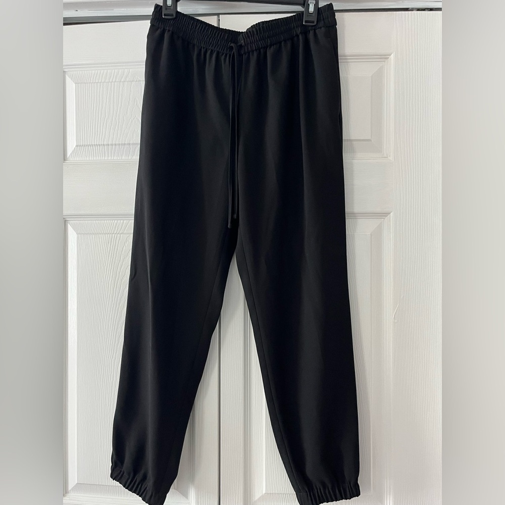 Express Dress Pant joggers